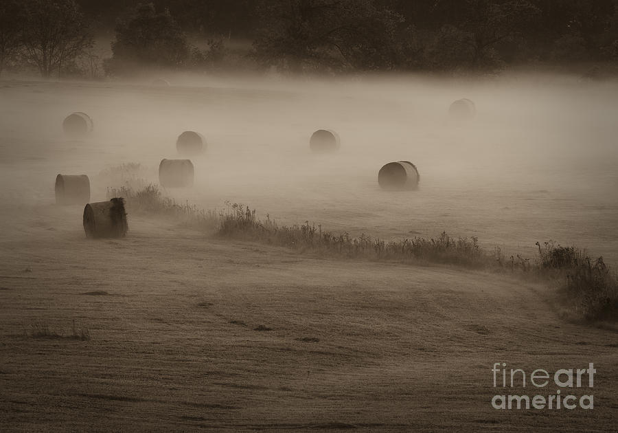 Rolling Field Of Hay Bales Photograph by Tamara Becker