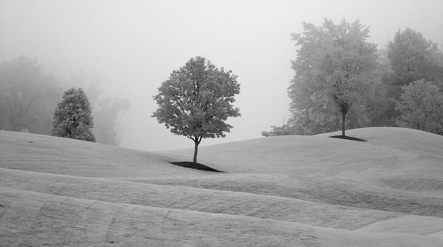 Rolling Fields Foggy Morning Photograph by Dan Carmichael