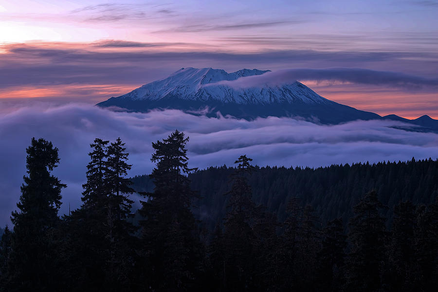 Sunset Photograph - Rolling Fog over Mount Saint Helens by David Gn