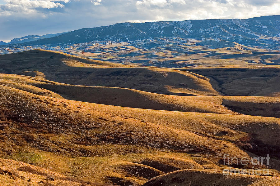 Rolling foothills and the Bighorn Mountains Photograph by Louise Heusinkveld