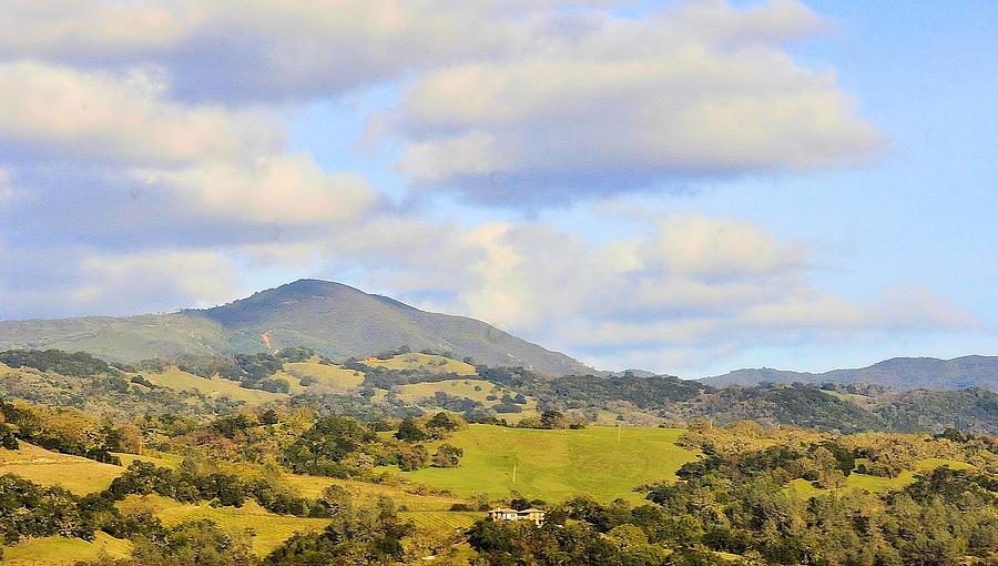 Rolling Hills and Mt St. Helena Photograph by Josephine Buschman