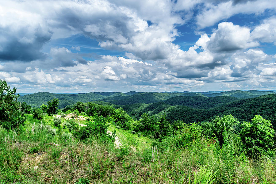 Rolling hills and Puffy Clouds Photograph by Lester Plank