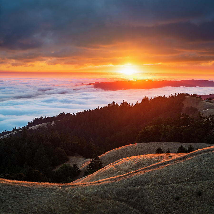 San Francisco Photograph -  Rolling Hills and Ridges by Alexander Sloutsky