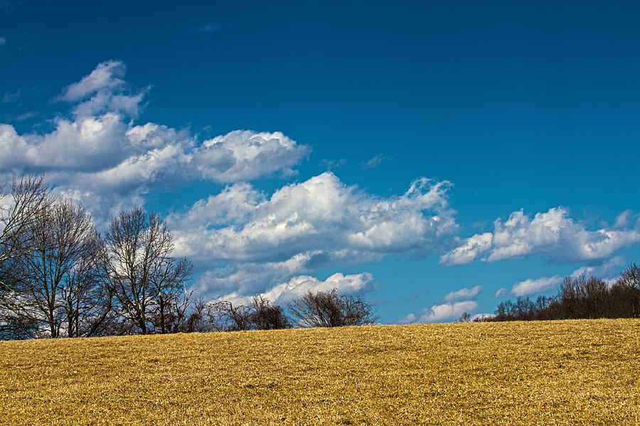 Rolling Hills Photograph by Donald Crosby - Fine Art America