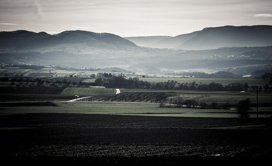 Rolling Hills Photograph by Miguel Winterpacht