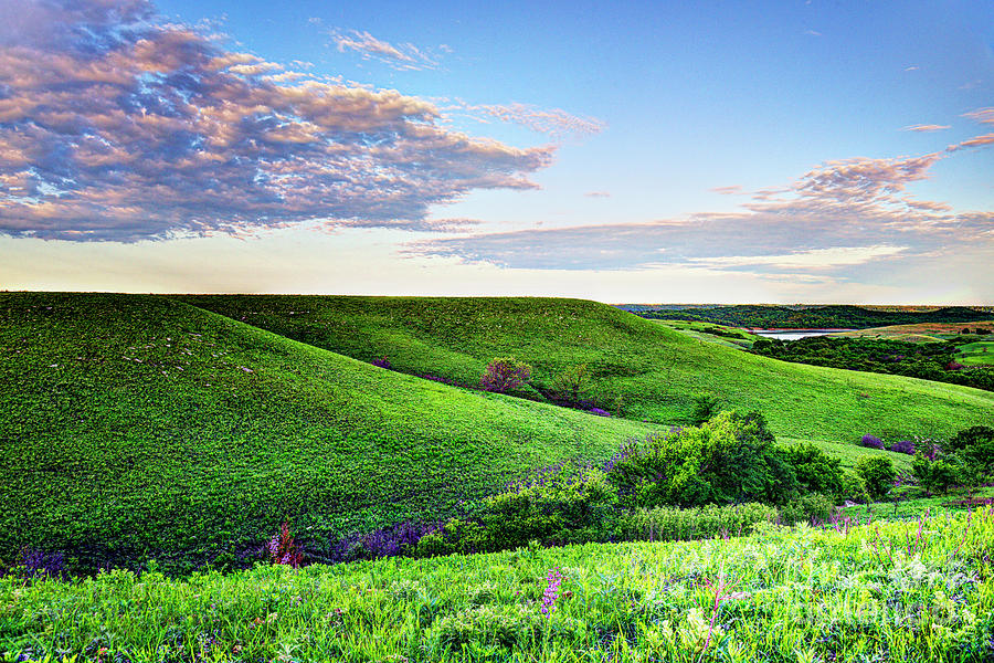 Rolling Hills of Green Photograph by Jean Hutchison