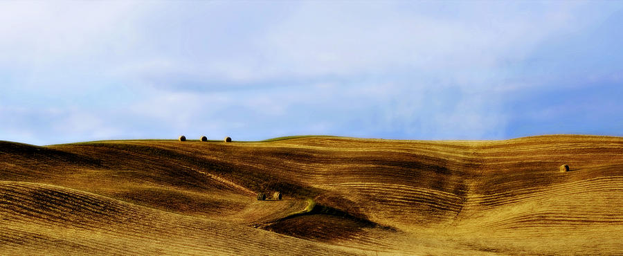 Rolling Hills of Hay Photograph by Marilyn Hunt