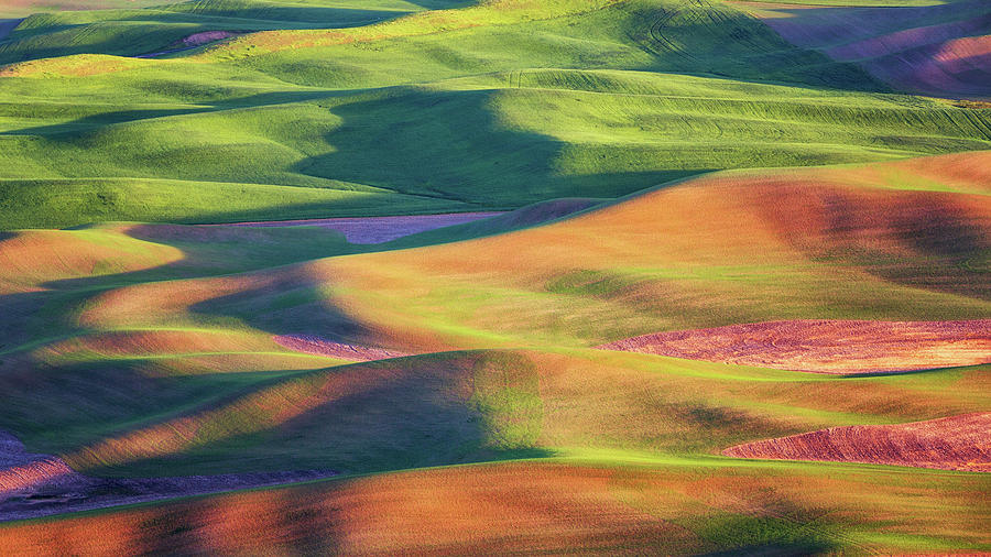 Rolling Hills of Palouse Photograph by Alex Mironyuk