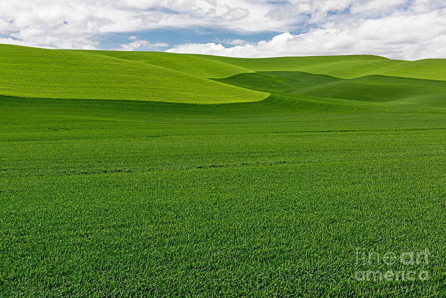Rolling Hills of The Palouse   Washington State Photograph by Willie Harper