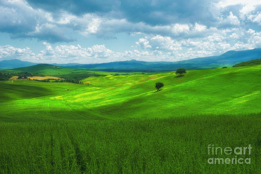 Rolling Hills of the Tuscan Countryside Photograph by George Oze