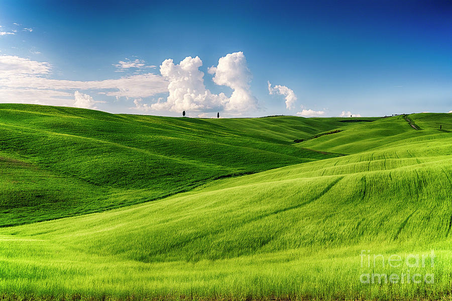 Rolling hills in Tuscany on a sunny day with dramatic clouds Stock Photo -  Alamy