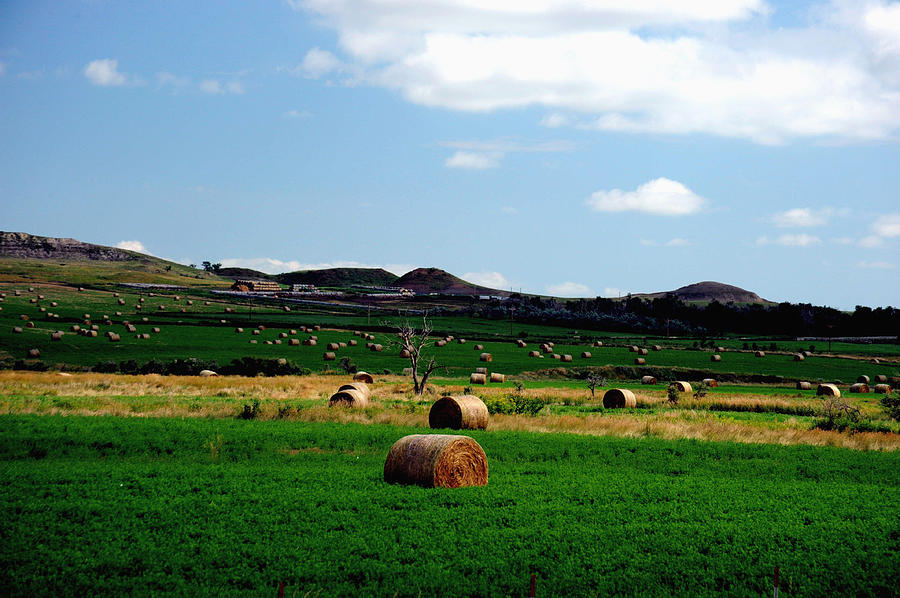 Rolling Pasture Photograph by Richard Gehlbach