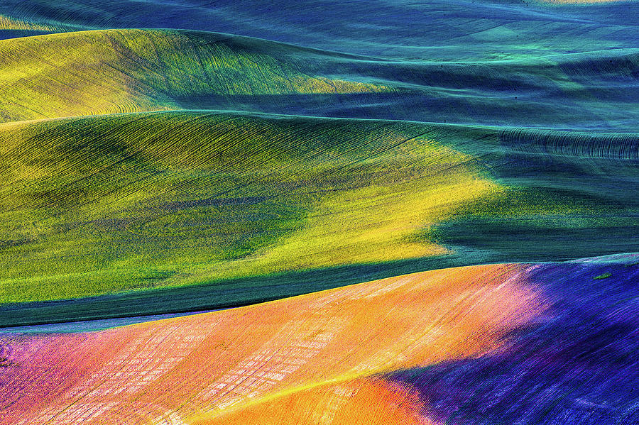 Rolling wheat hill - Palouse Photograph by Hisao Mogi