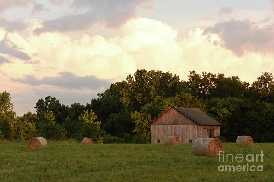 Rolls of Hay by Charles Owens Rolls of Hay by Charles Owens