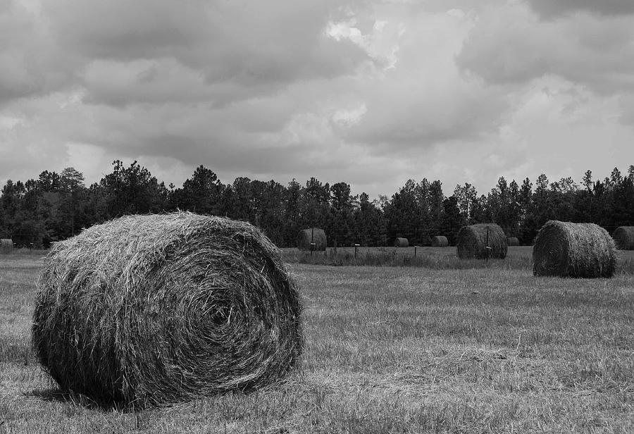Rolls of Hay Photograph by Southern Photo
