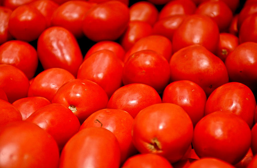 Roma Tomatoes Photograph by Robert Meyers-Lussier