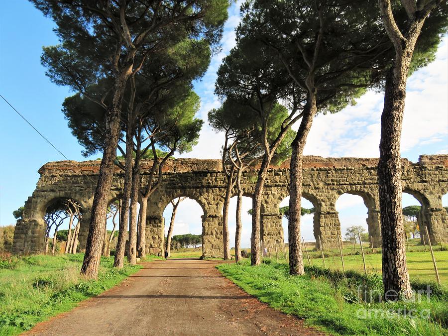 Roman Aqueducts Photograph by Laurie Morgan