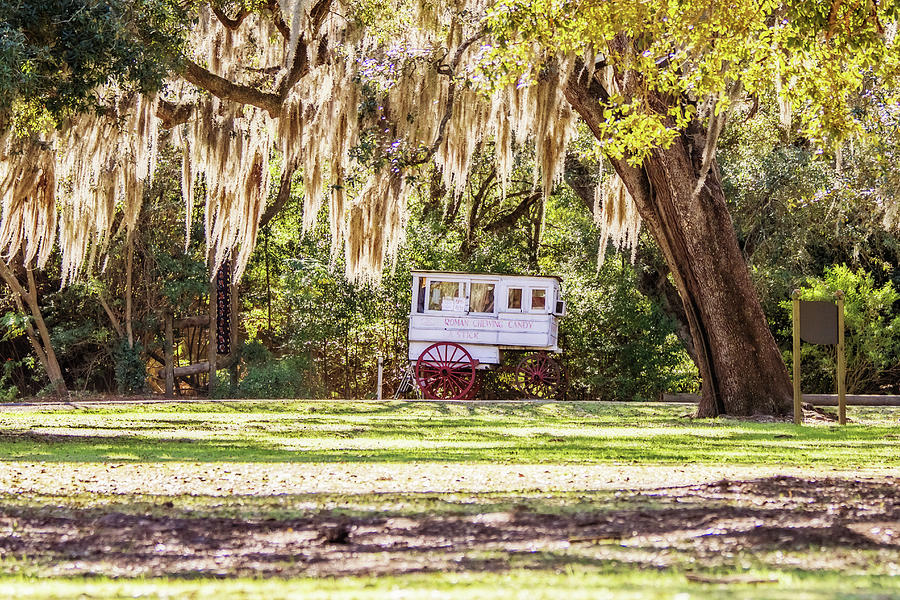 Roman Candy Cart Under the Oaks Photograph by Scott Pellegrin