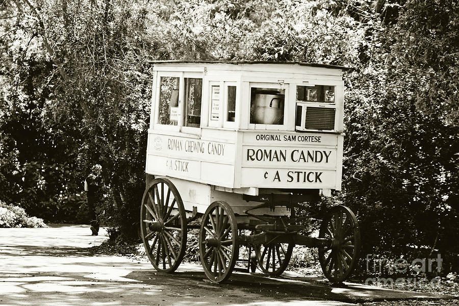 Roman Candy No 2 - sepia Photograph by Scott Pellegrin