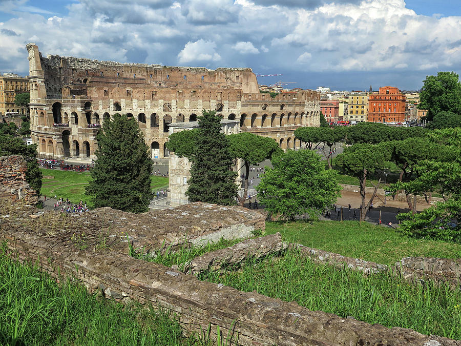 Roman Colosseum Photograph by Dave Mills