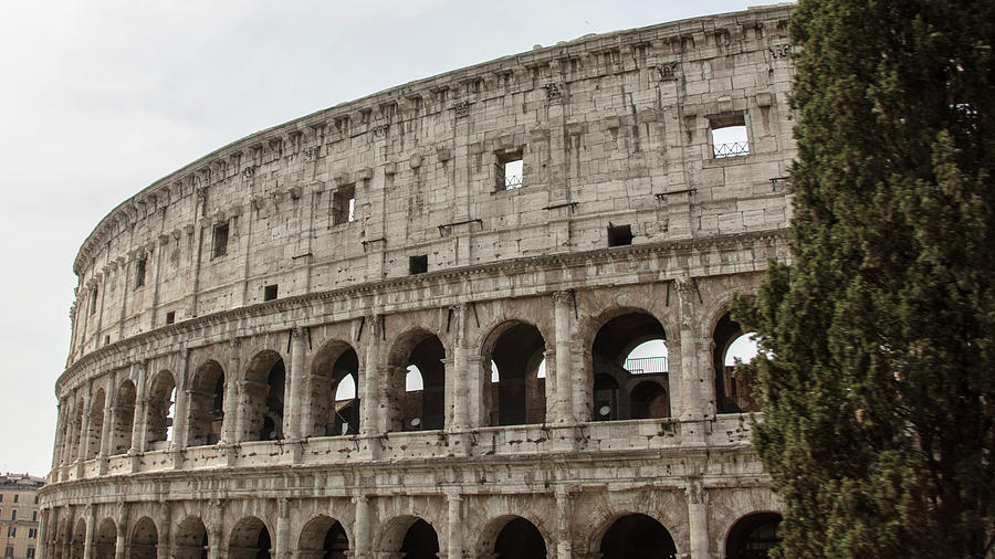 Roman Colosseum during the day  Photograph by John McGraw