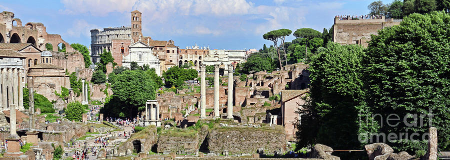 Roman Forum 1849 Photograph by Jack Schultz