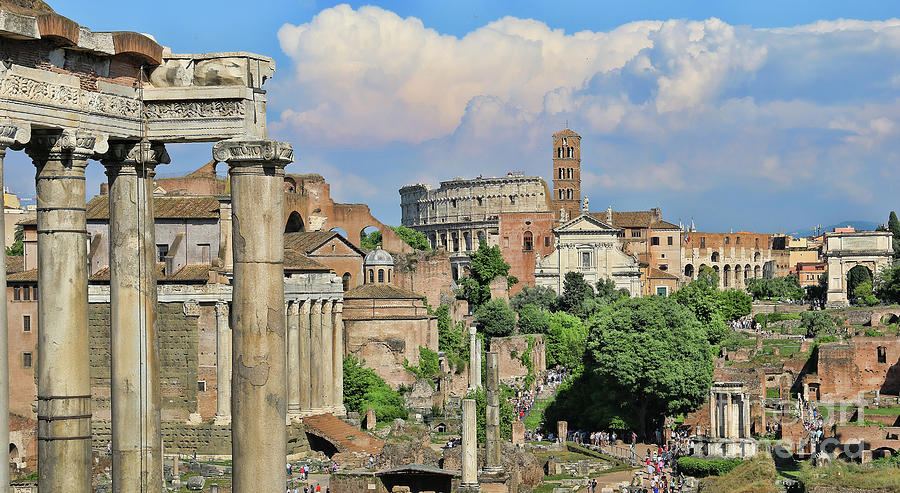 Roman Forum 1859 Photograph by Jack Schultz