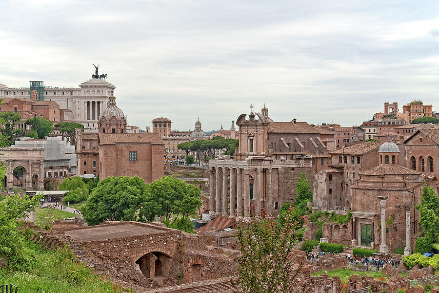 Roman Forum Photograph by Catherine Reading
