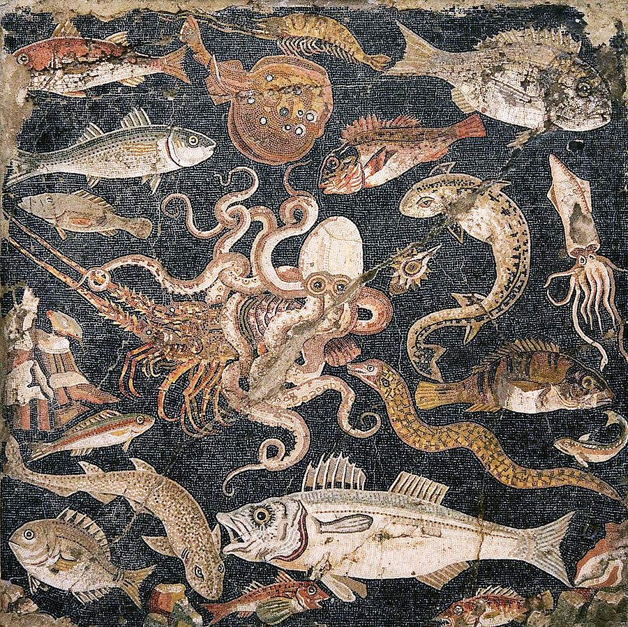 Roman Seafood Mosaic Photograph by Sheila Terry