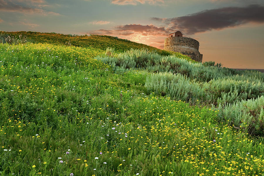 Roman tower on hill with spring flowers Photograph by Dirk Ercken