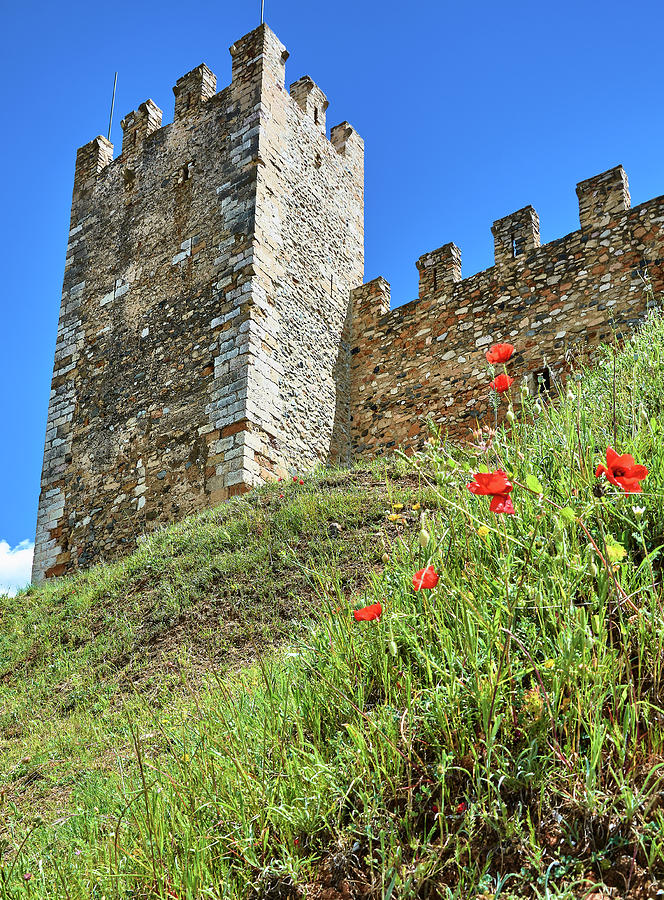  Roman Walls  And Flowers In Tarragona Photograph by Eduardo 