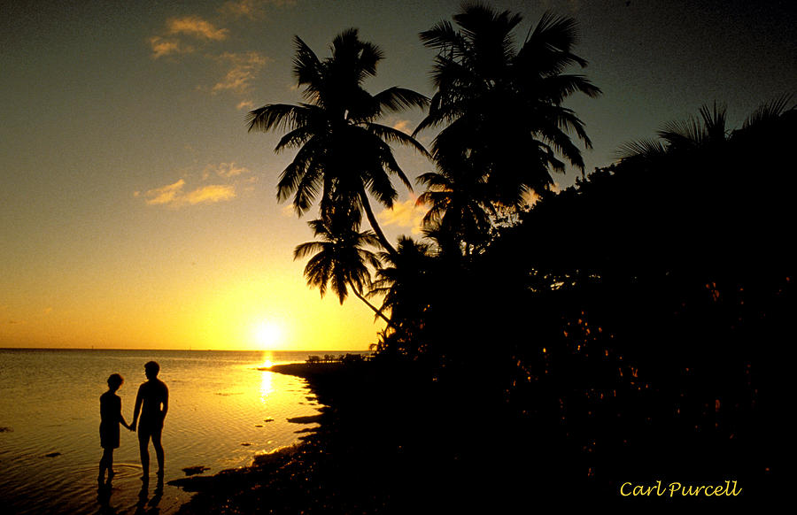 Palms Photograph - Romance at Little Palm Island by Carl Purcell