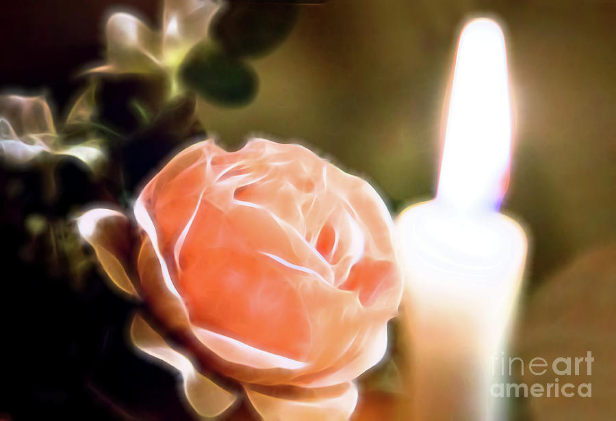 Romance in a Peach Rose Digital Art by Linda Phelps