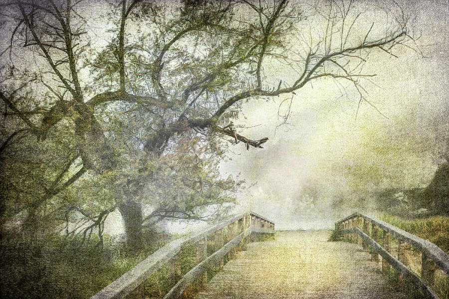 Romance in the Mist Antique Photograph by Debra and Dave Vanderlaan