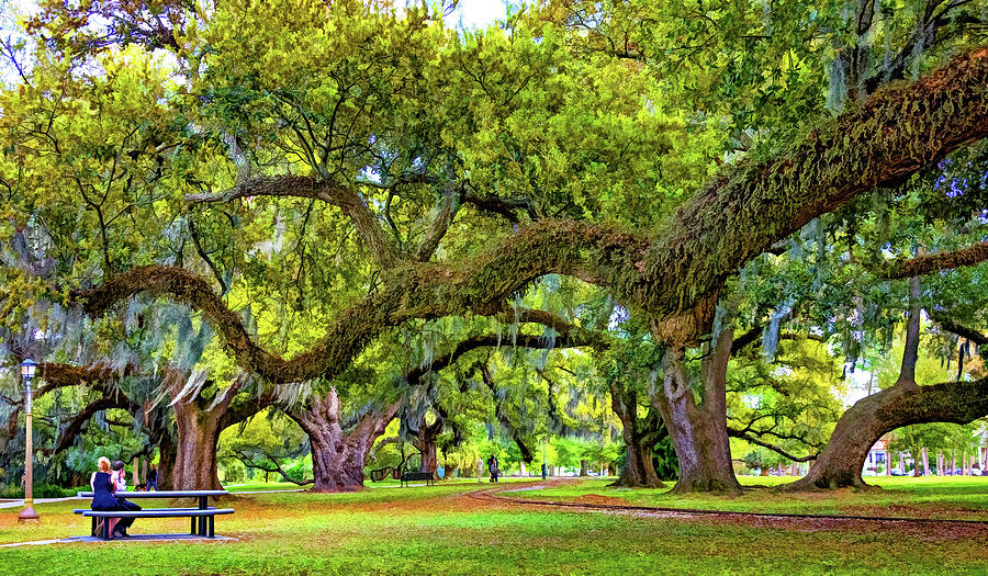 Romantic City Park - New Orleans - Paint Photograph by Steve Harrington