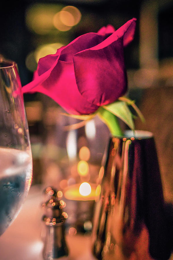 Romantic Dinner Time Setup On Table With A Rose Photograph by Alex Grichenko