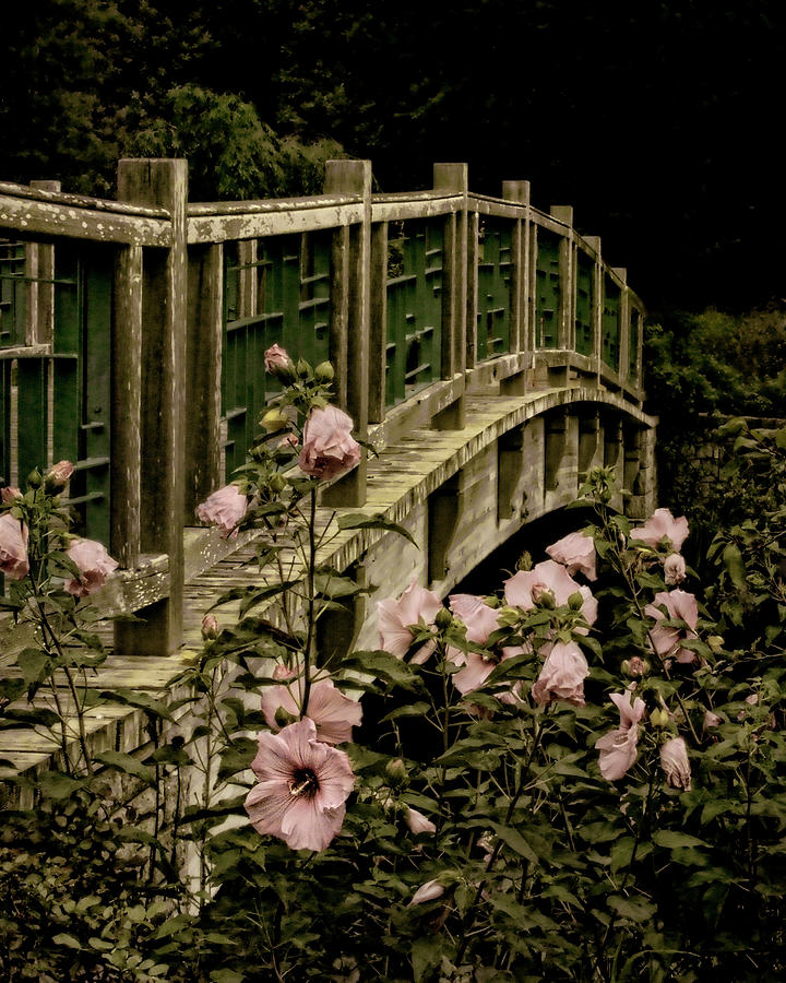 Romantic Garden and Bridge Photograph by Mitch Spence