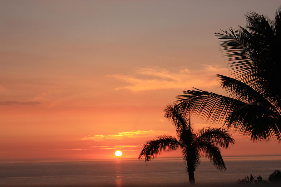 Romantic Hawaiian Sunset Photograph by Karen Nicholson