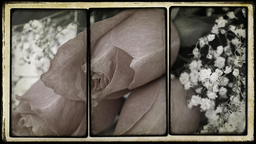 Rose Photograph - Romantic Meeting by Georgiana Romanovna