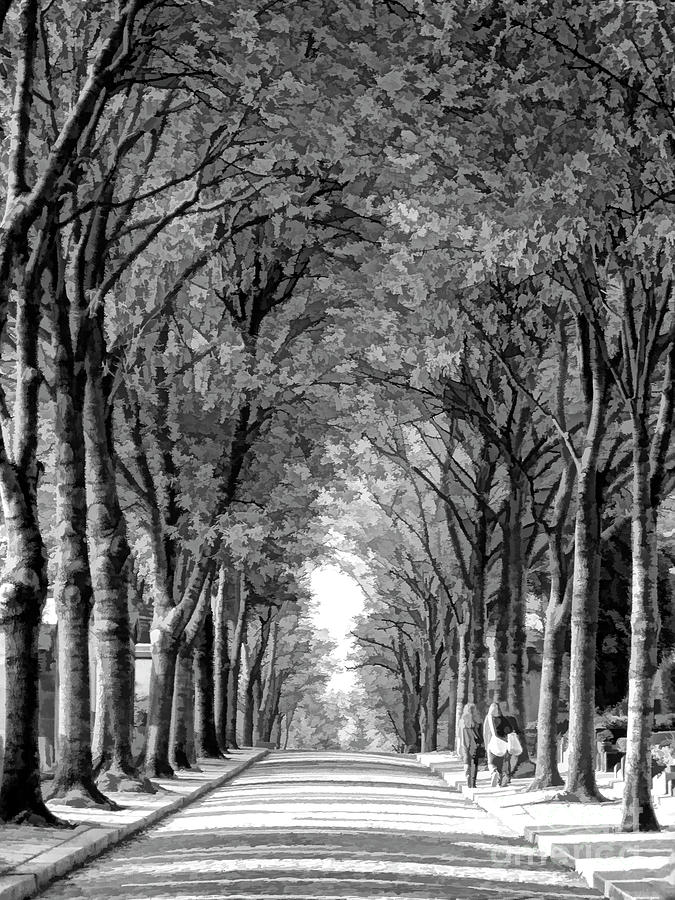 Paris Photograph - Romantic Paris Black White  by Chuck Kuhn