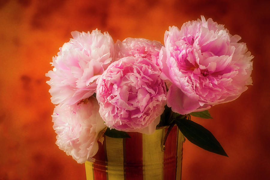 Romantic Peonies Photograph by Garry Gay