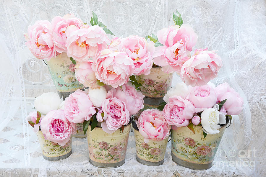 Romantic Peonies Shabby Chic Cottage Garden Pink Peonies