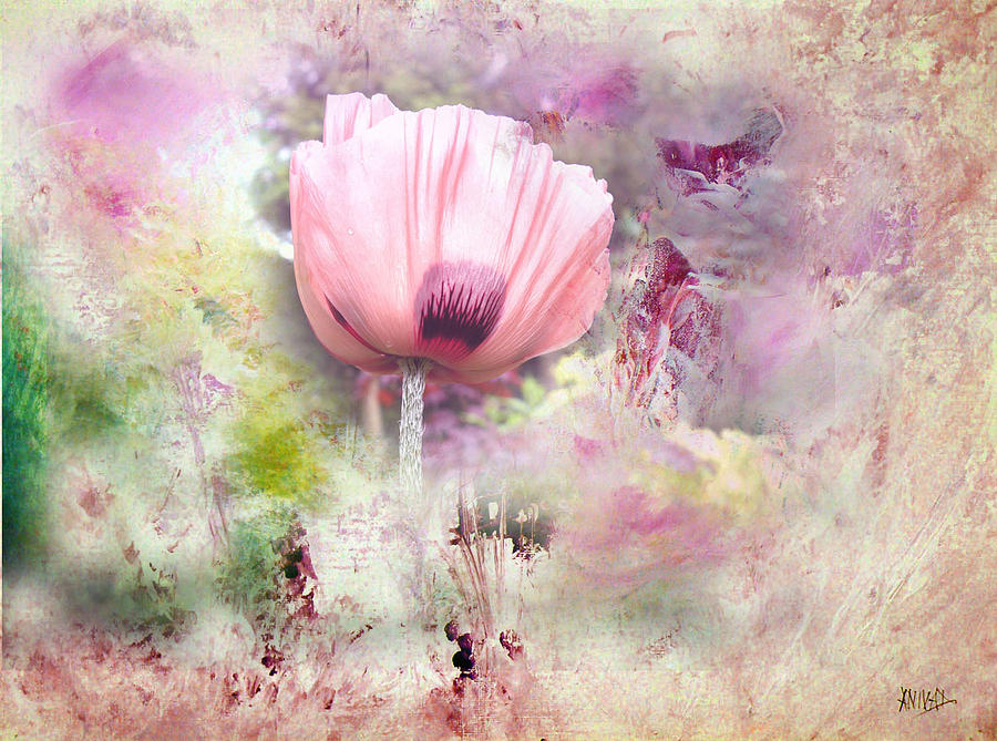 Romantic Poppy Painting by Davina Nicholas