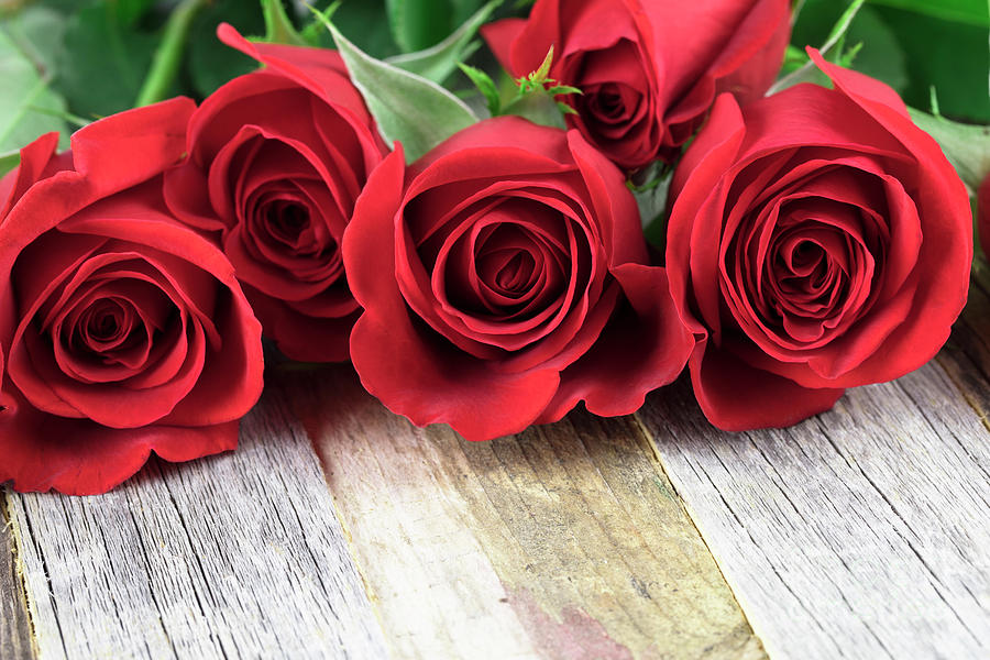 Romantic Red Roses Photograph by Charlotte Lake - Pixels