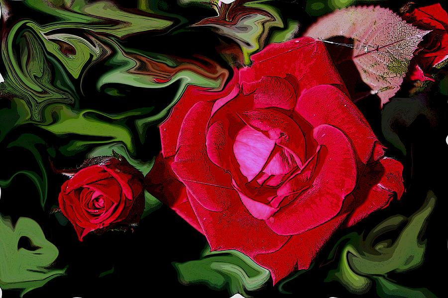Romantic Rose Photograph by David Matthews