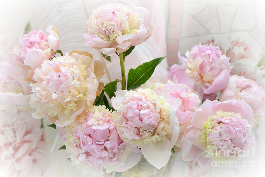 romantic shabby chic pink yellow peonies dreamy pink romantic shabby chic pink yellow peonies dreamy pink
