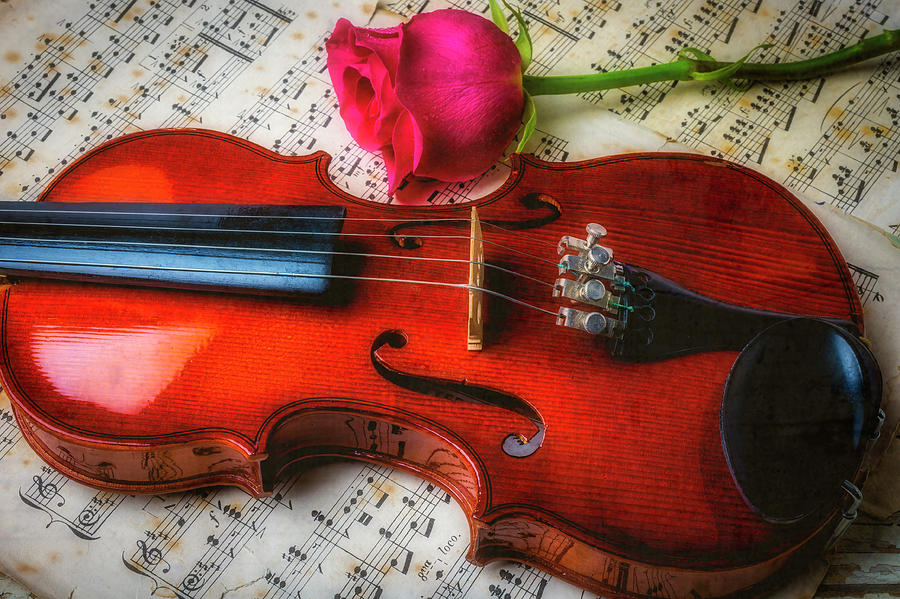 Romantic Violin And Rose Photograph by Garry Gay