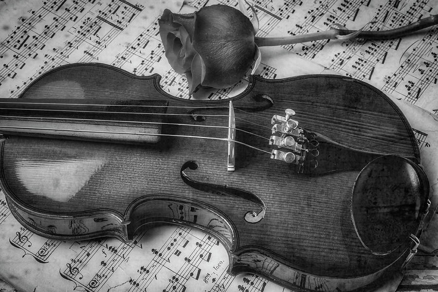 Romantic Violin And Rose In Black And White Photograph by Garry Gay