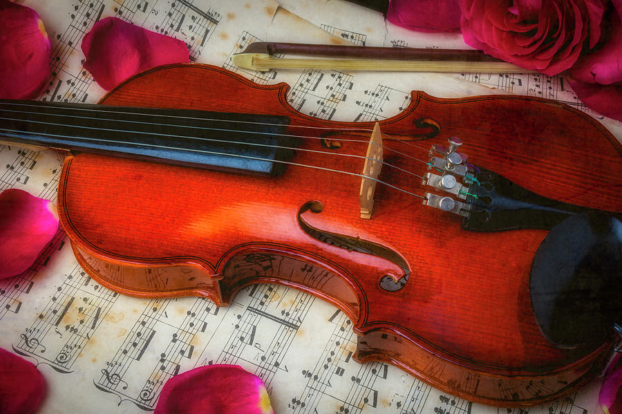 Romantic Violin Photograph by Garry Gay