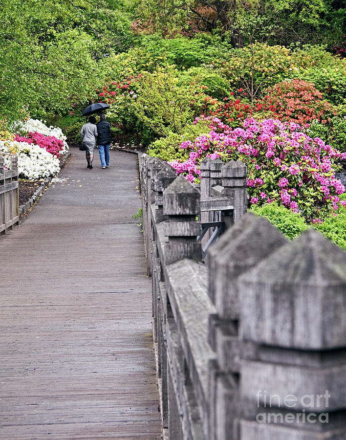 Romantic Walk In the Rhododendron Garden  Photograph by Sherry  Curry